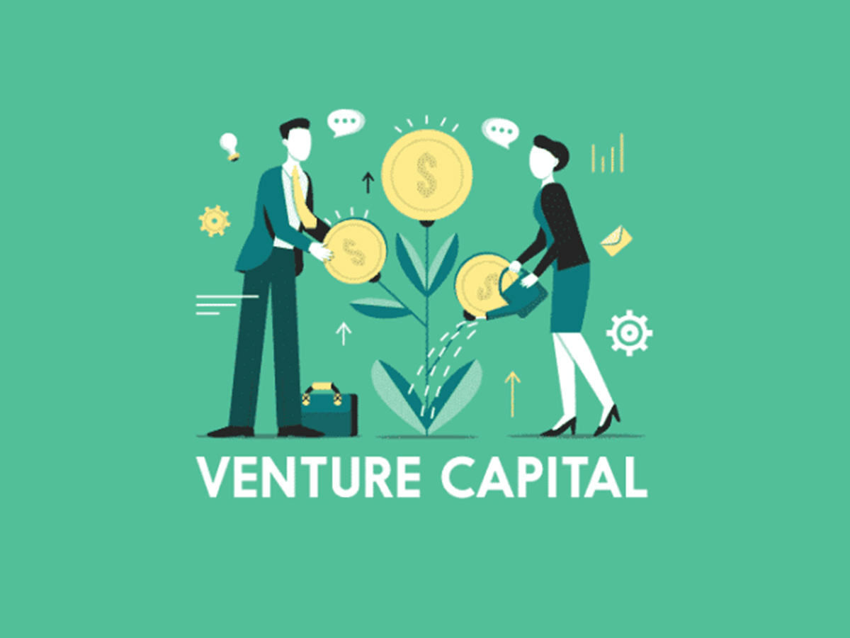 Stages of Venture Capital: A Quick Guide on Early and Late Stage ...